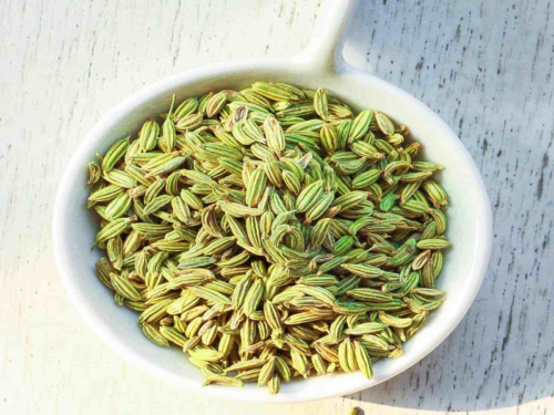 Fennel-Seeds-1