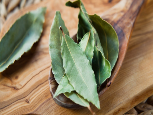 bay-leaves-leaf-herb-1296x728-header