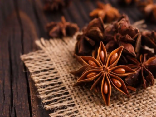 star-anise-indian